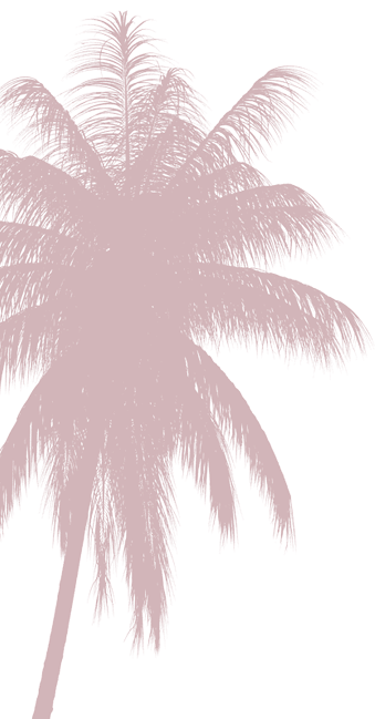 Palm Tree